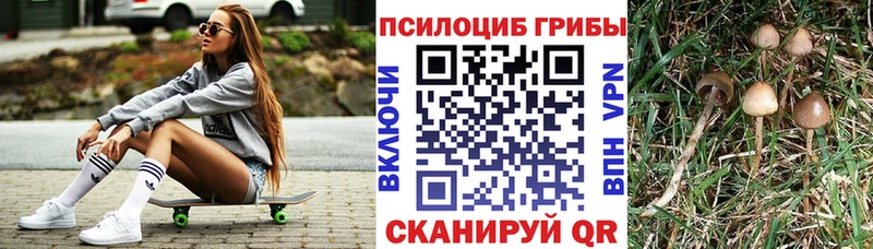 Галлюциногенные грибы прущие грибы  Бирск 