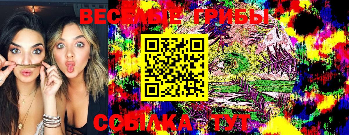 Псилоцибиновые грибы Psilocybine cubensis  Вход с VPN  даркнет сайт  Бирск 